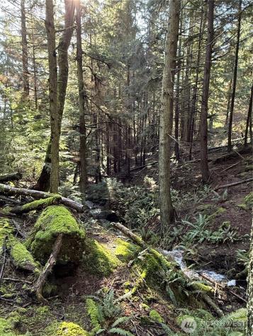 2000 Peregrine Road Orcas Island WA 98279