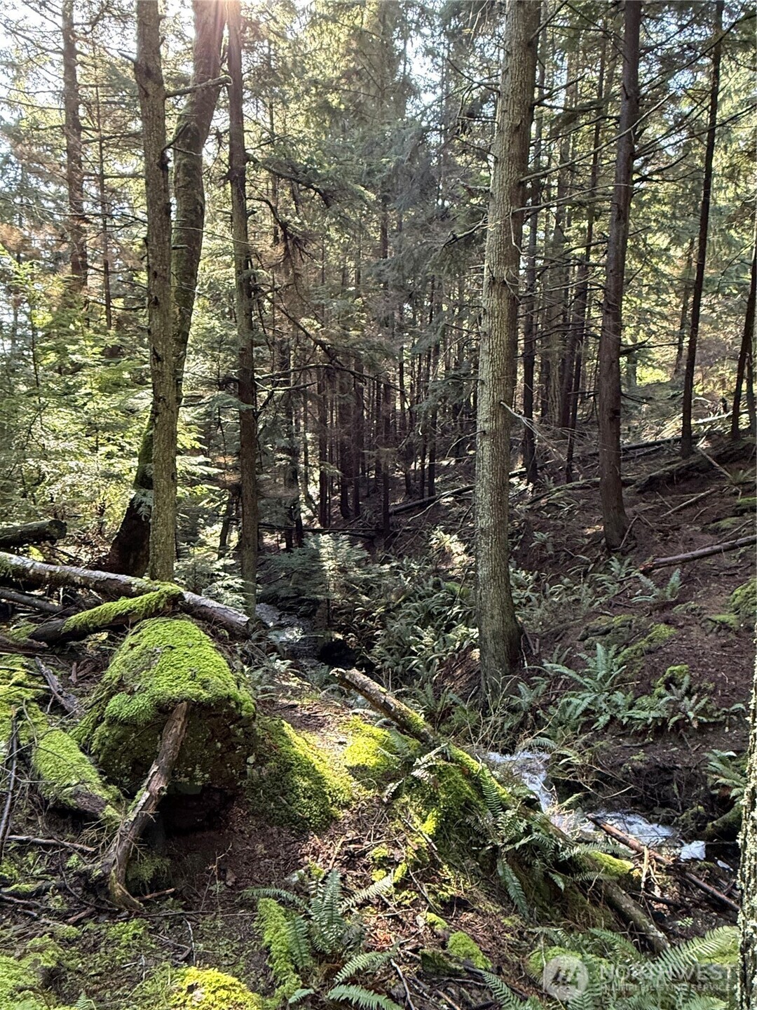 2000 Peregrine Road Orcas Island WA 98279