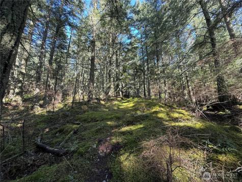 2000 Peregrine Road Orcas Island WA 98279