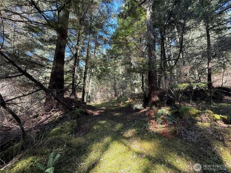 2000 Peregrine Road Orcas Island WA 98279