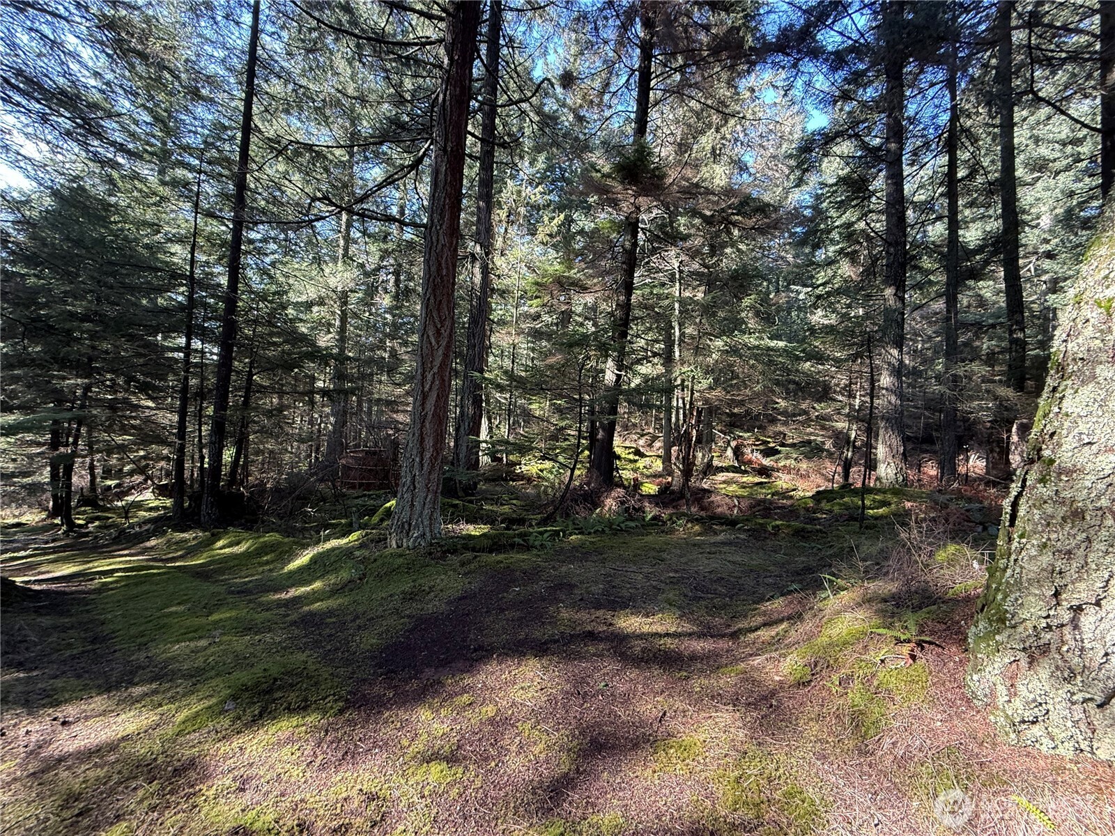 2000 Peregrine Road Orcas Island WA 98279