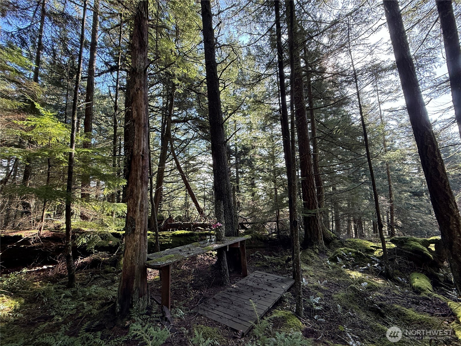 2000 Peregrine Road Orcas Island WA 98279