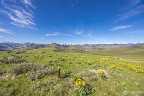 1 Terrace View Short Plat Methow WA 98834
