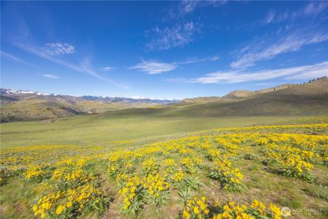 1 Terrace View Short Plat Methow WA 98834