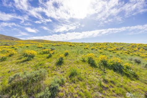 1 Terrace View Short Plat Methow WA 98834