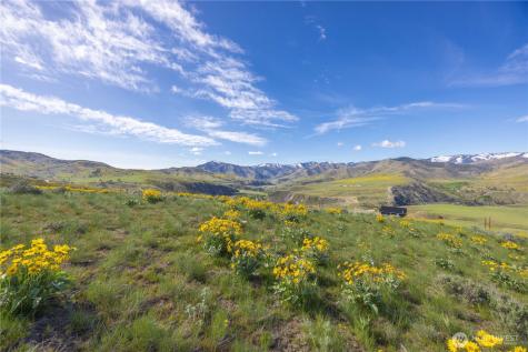 1 Terrace View Short Plat Methow WA 98834