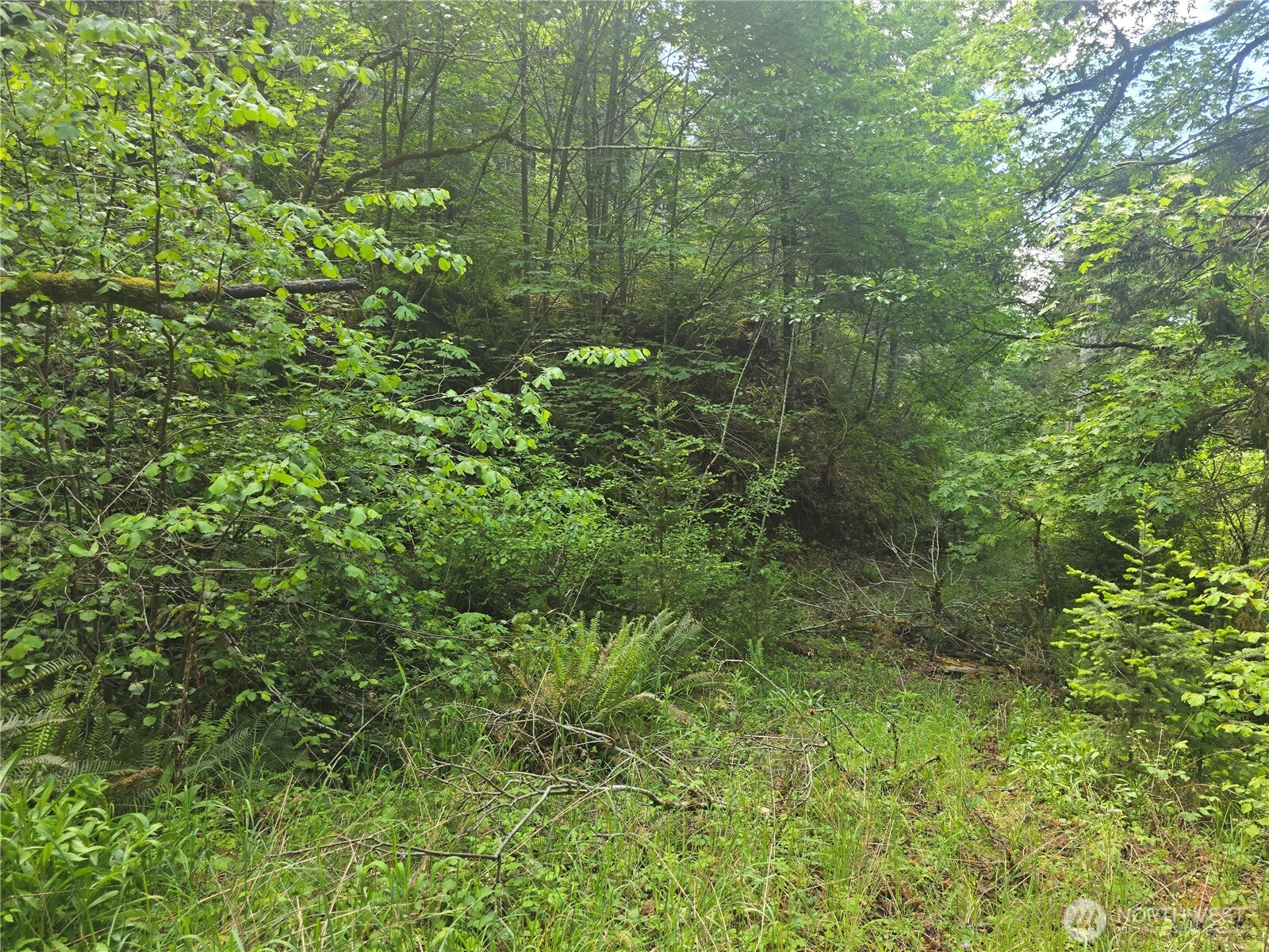 2110 Summit Lake Shore Road NW Olympia WA 98502
