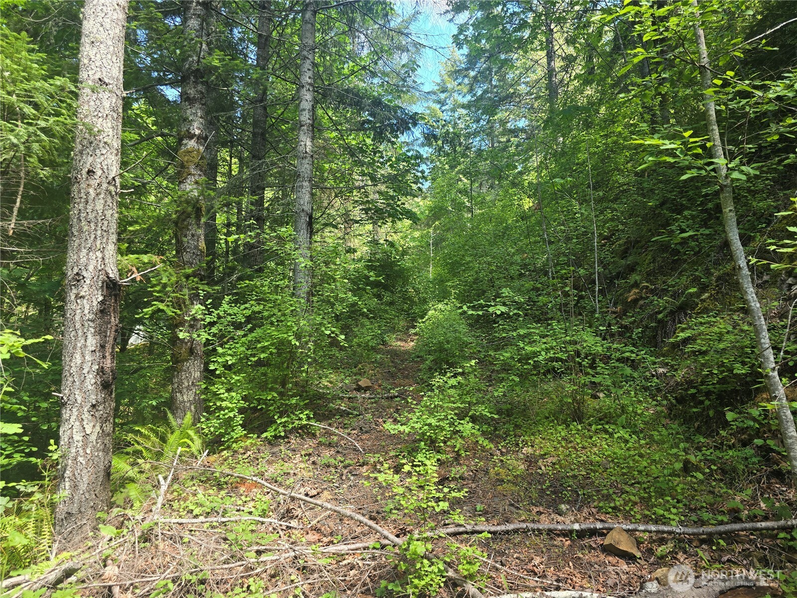 2110 Summit Lake Shore Road NW Olympia WA 98502
