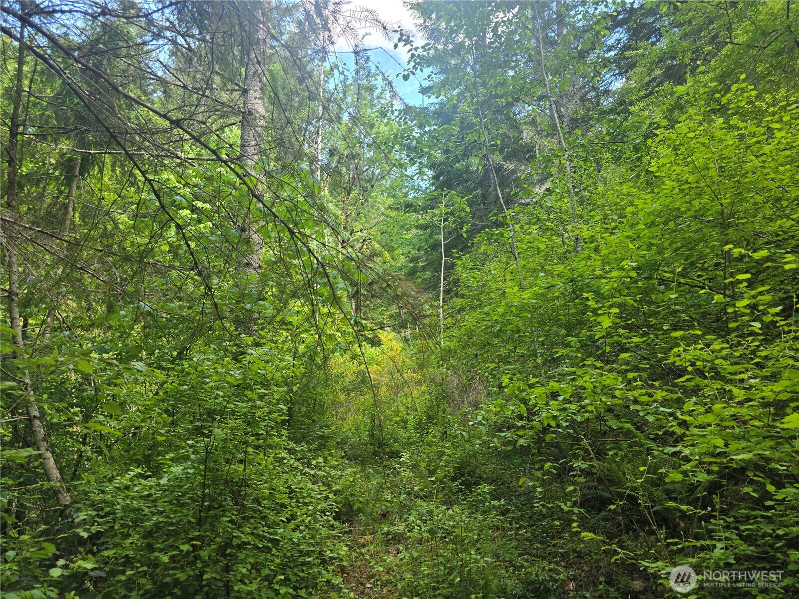 2110 Summit Lake Shore Road NW Olympia WA 98502