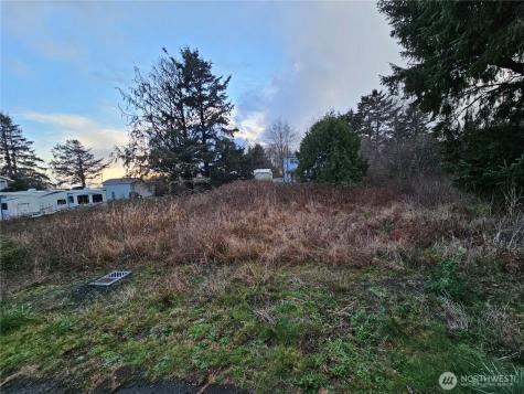 19 N 3rd Street Pacific Beach WA 98571