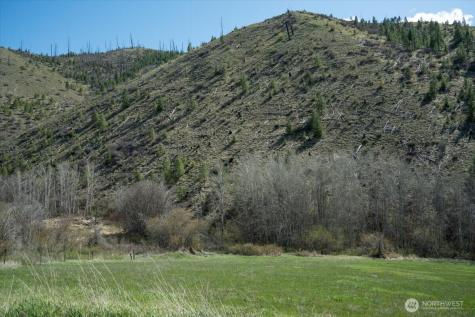 0 Bisping Canyon Road Entiat WA 98822