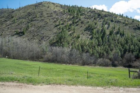 0 Bisping Canyon Road Entiat WA 98822