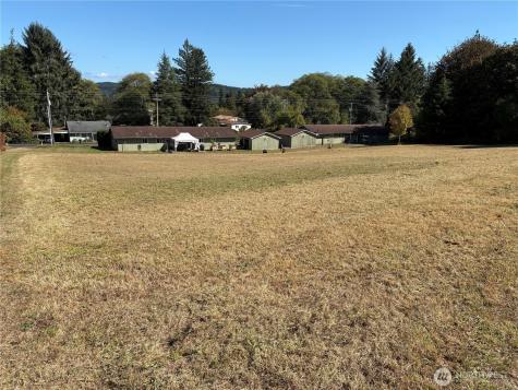 0 Clement Road Raymond WA 98577