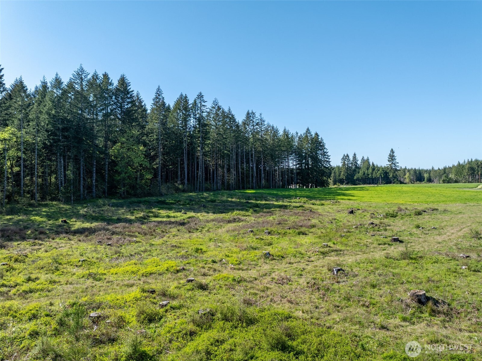 0 Mcglaughlin Road Winlock WA 98596