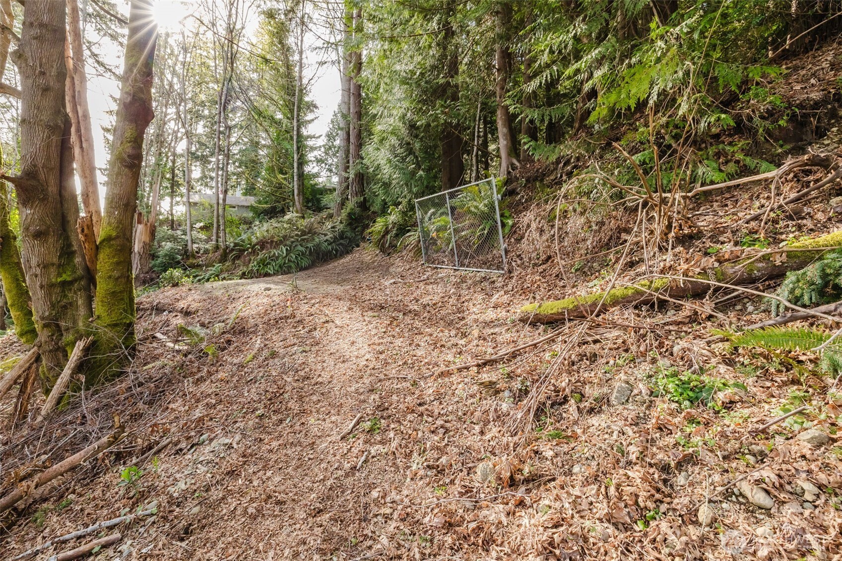 10212 NE North Shore Road Belfair WA 98528