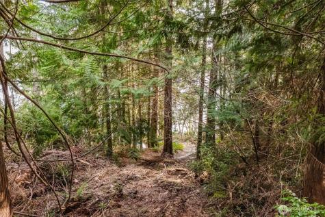 10212 NE North Shore Road Belfair WA 98528