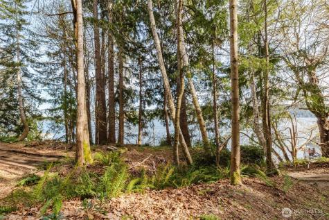 10212 NE North Shore Road Belfair WA 98528
