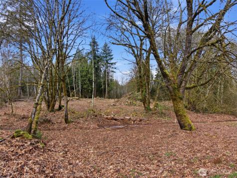 210 Vermillion Road Chehalis WA 98532