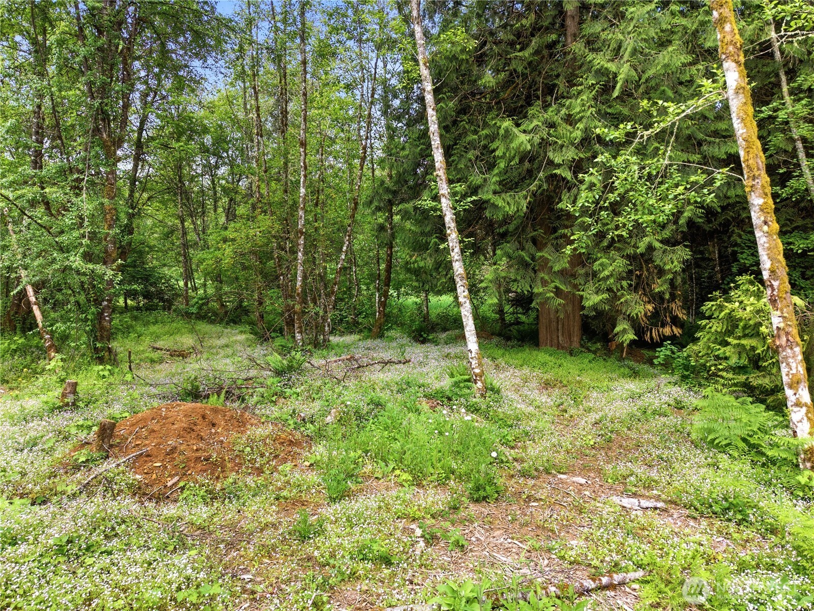 210 Vermillion Road Chehalis WA 98532