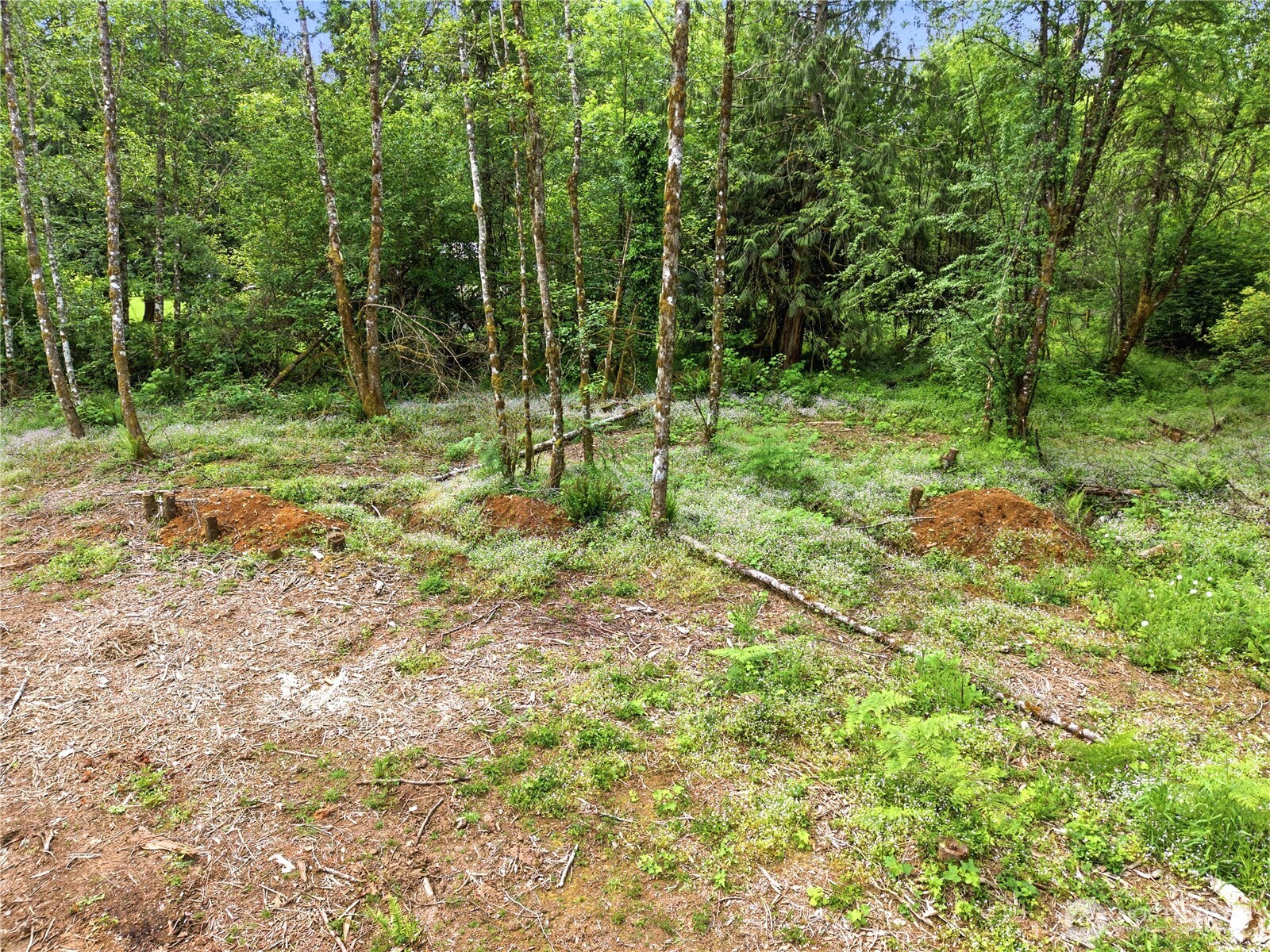 210 Vermillion Road Chehalis WA 98532
