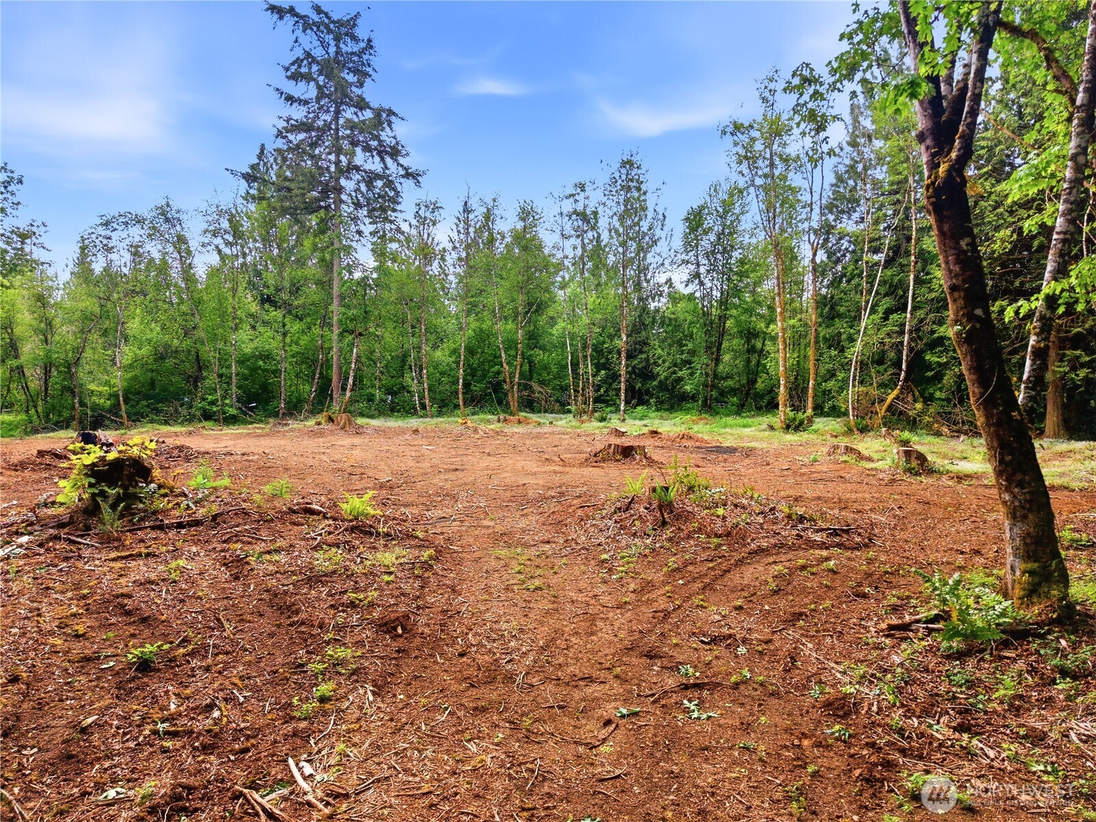 210 Vermillion Road Chehalis WA 98532