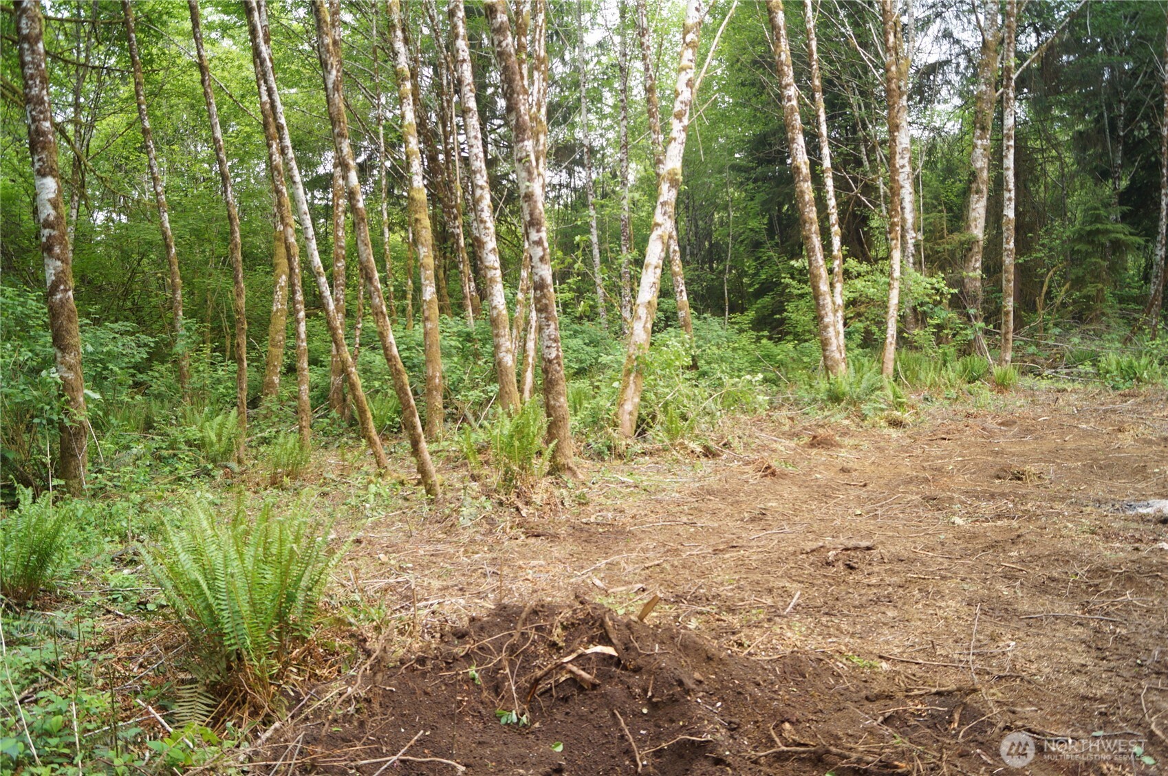 0 North River Road Cosmopolis WA 98537