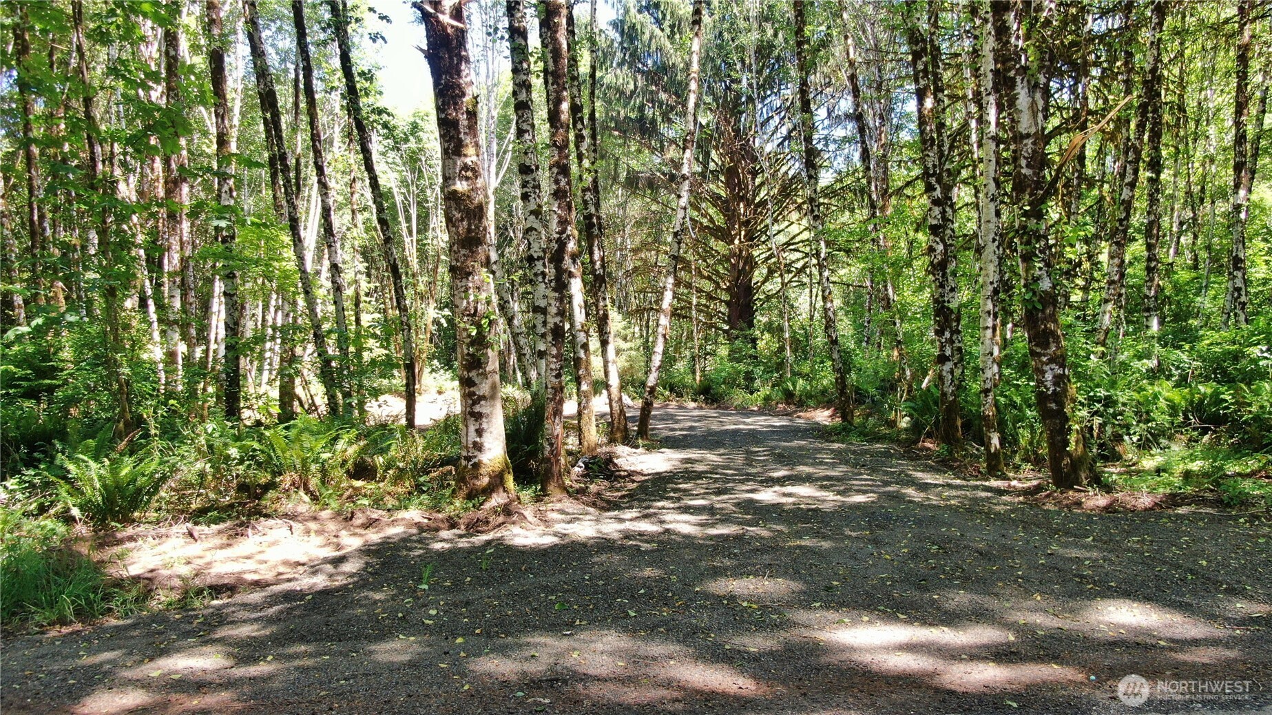 0 North River Road Cosmopolis WA 98537