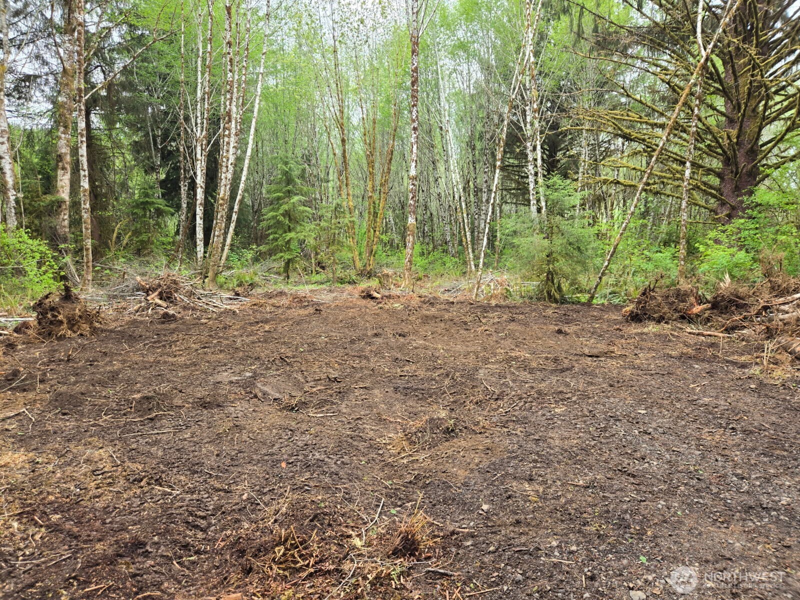 0 North River Road Cosmopolis WA 98537