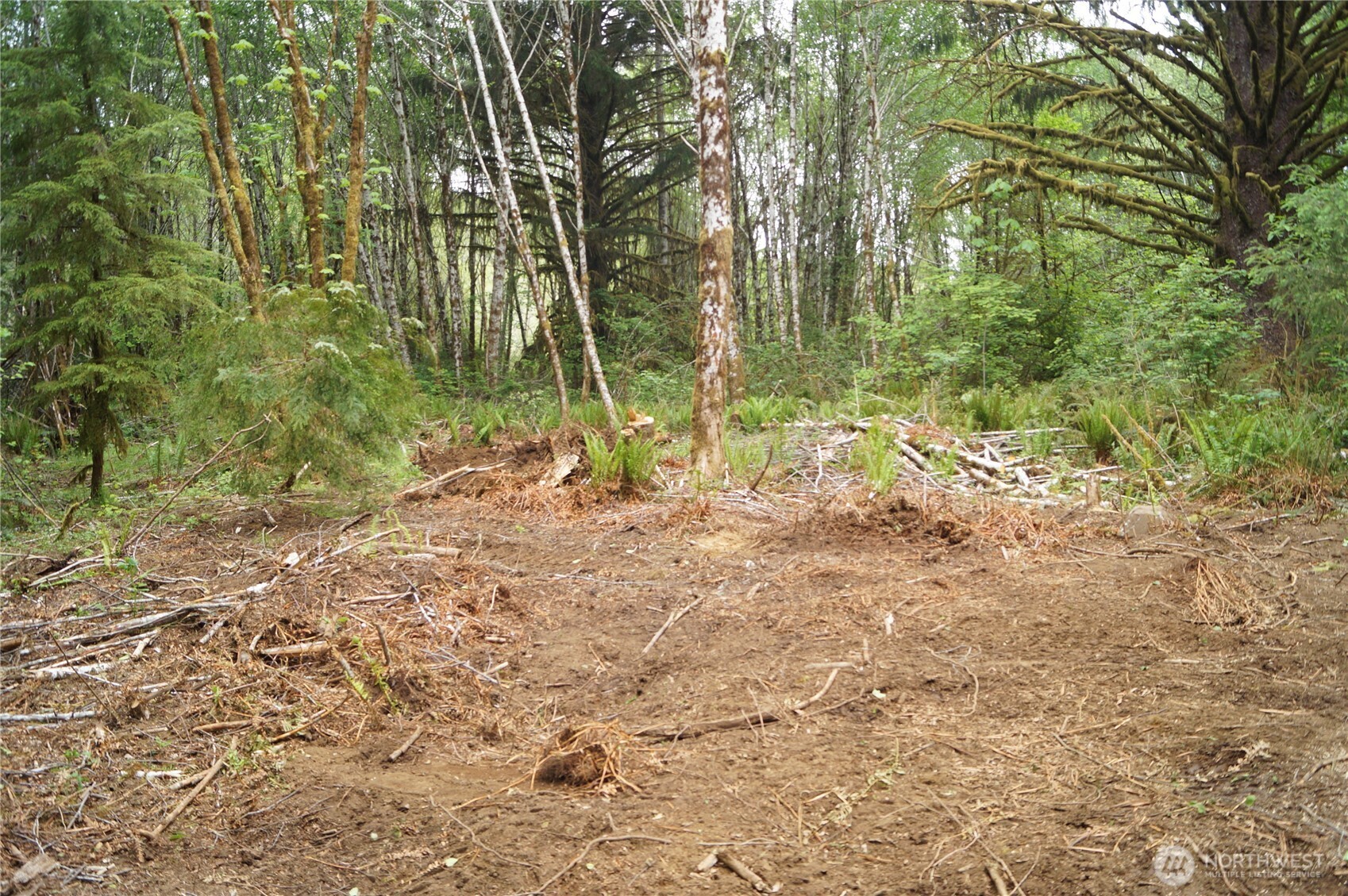 0 North River Road Cosmopolis WA 98537