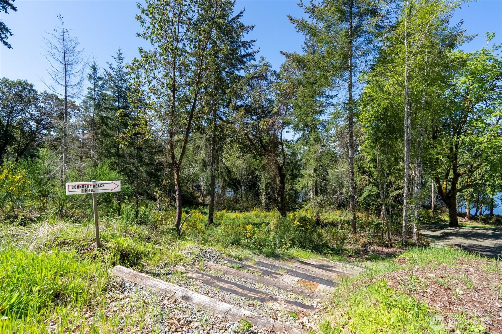 410 E Lone Fir Drive Shelton WA 98584
