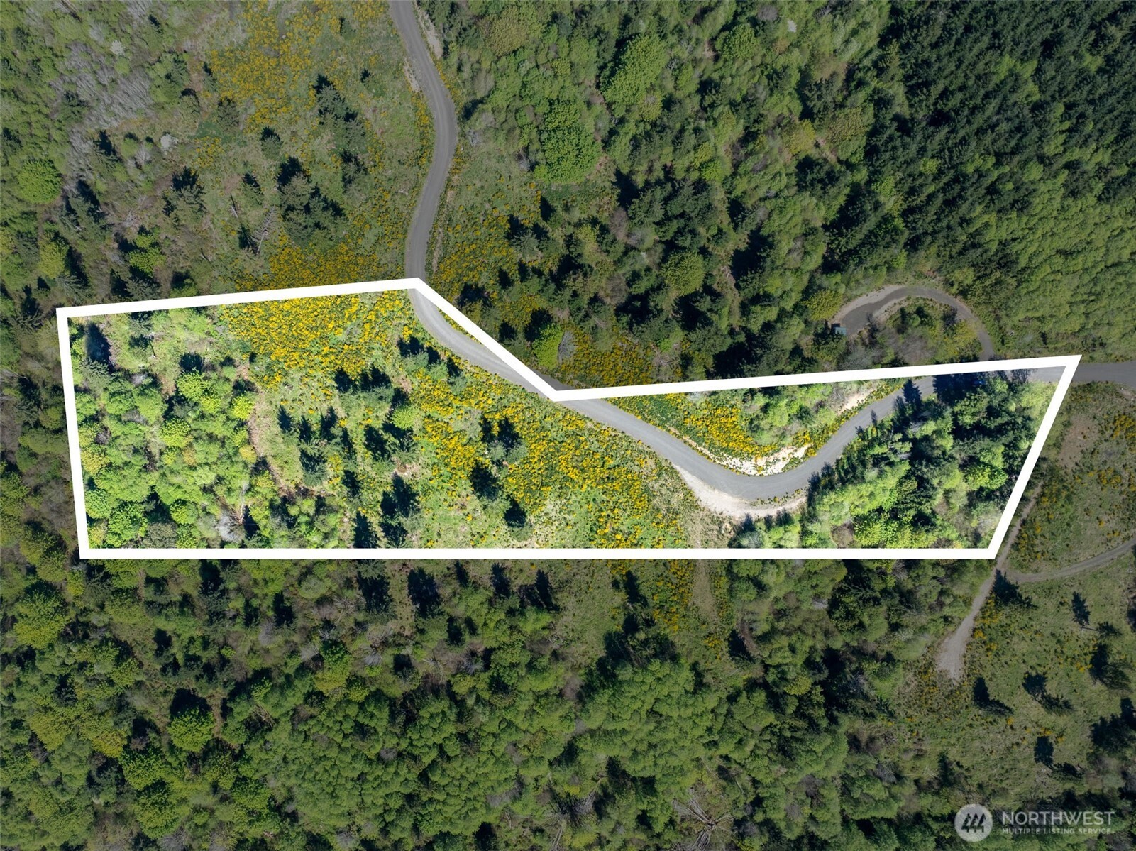 410 E Lone Fir Drive Shelton WA 98584