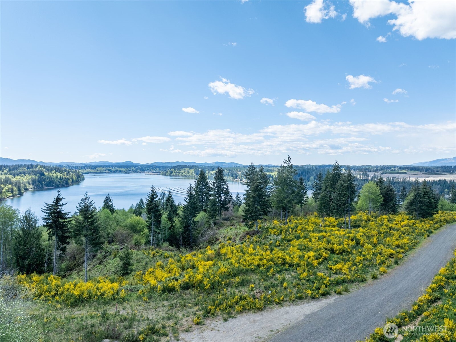 410 E Lone Fir Drive Shelton WA 98584