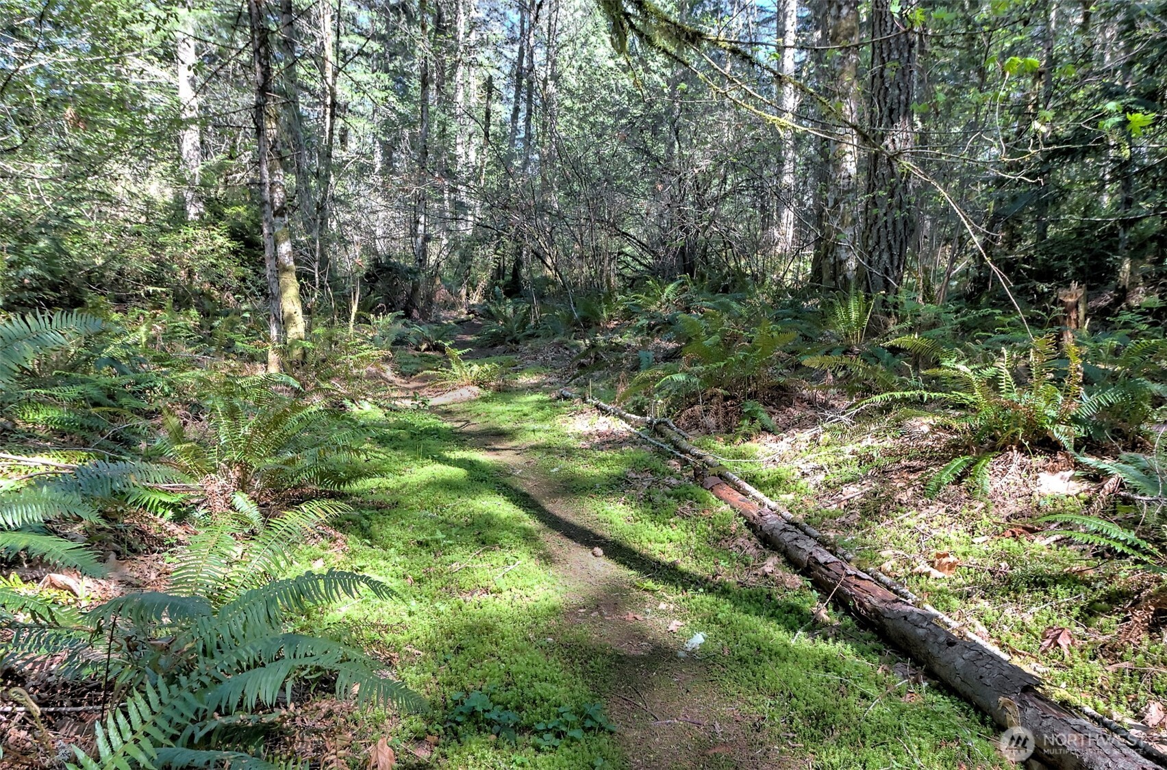 19381 E State Highway 3 Allyn WA 98524