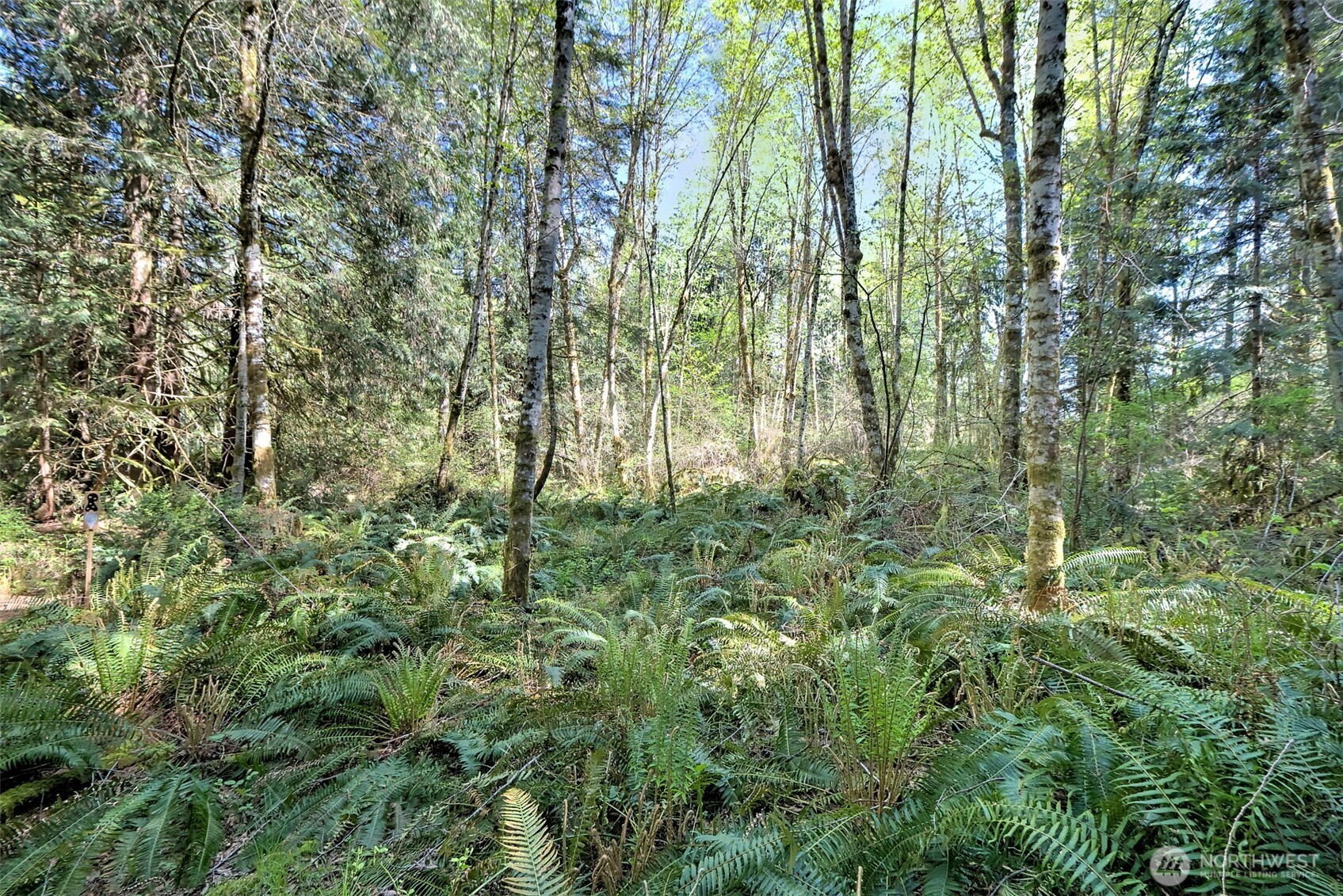 19381 E State Highway 3 Allyn WA 98524