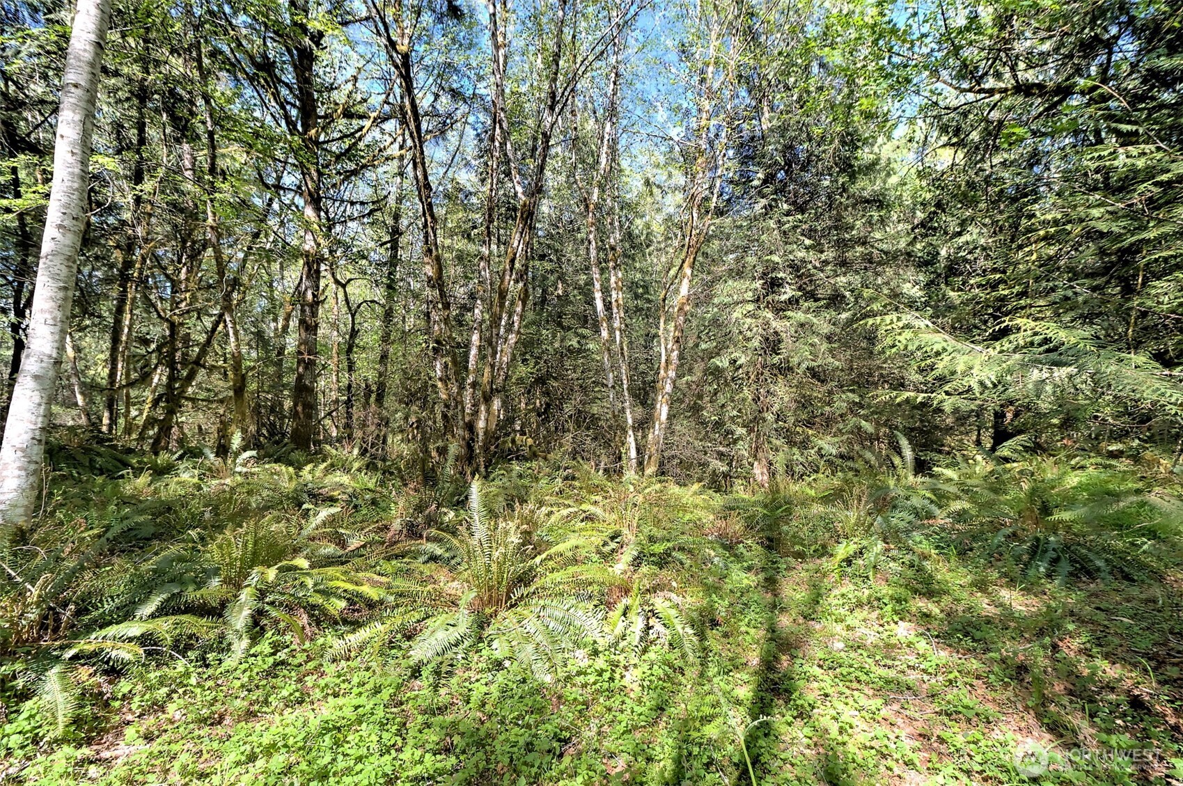 19381 E State Highway 3 Allyn WA 98524