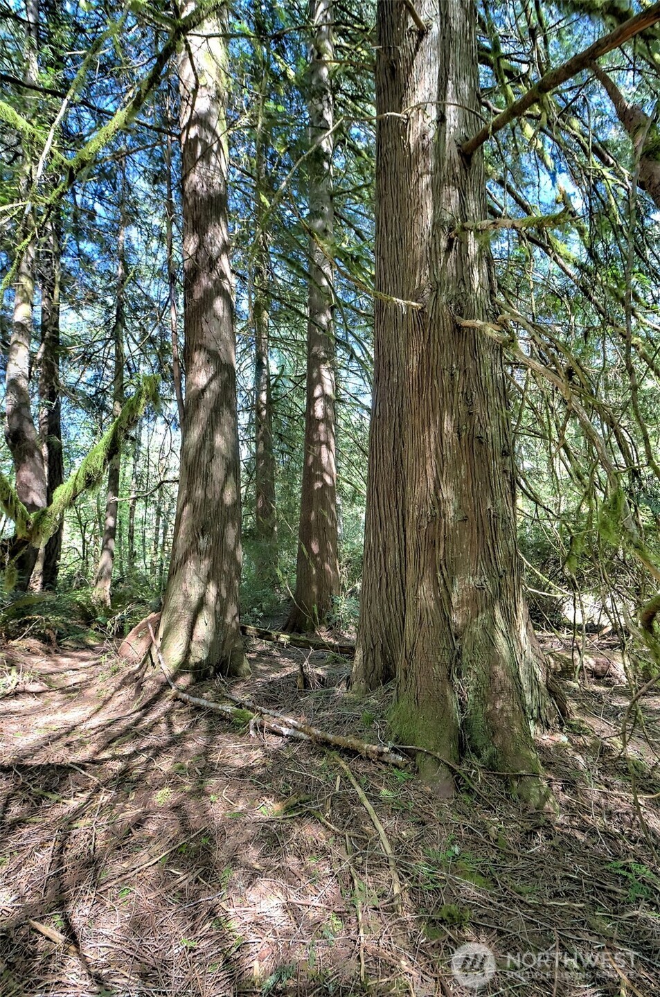 19381 E State Highway 3 Allyn WA 98524
