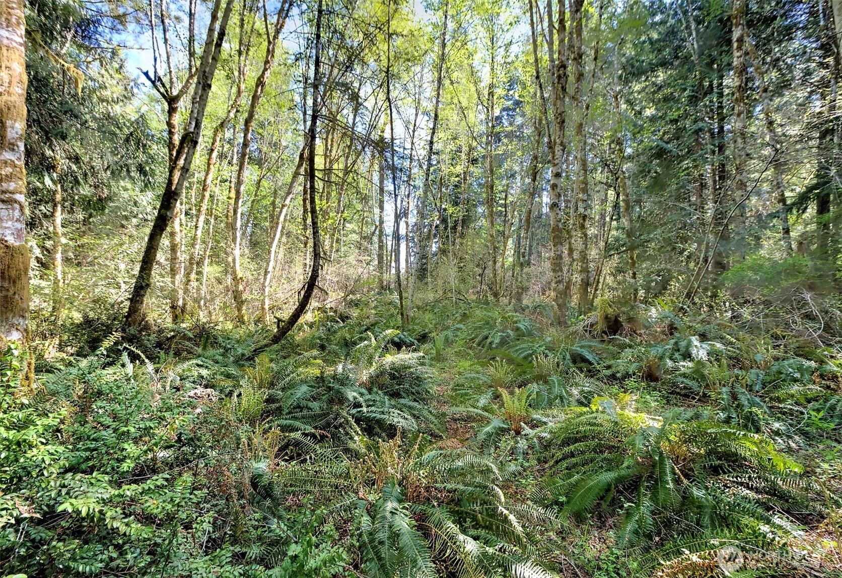 19381 E State Highway 3 Allyn WA 98524