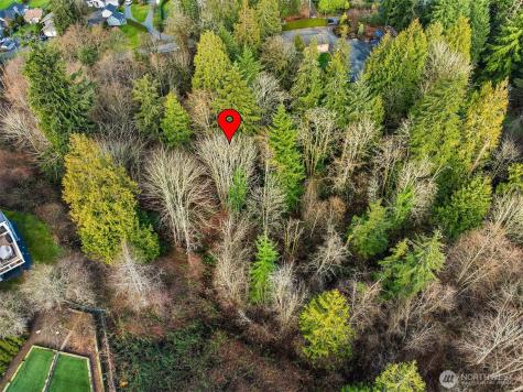 507 101st Avenue NE Lake Stevens WA 98258