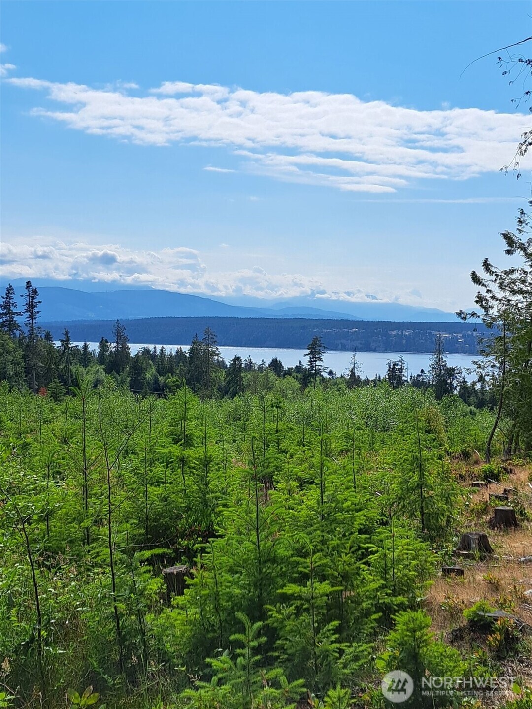 9999 Protection Ridge Road Port Townsend WA 98368