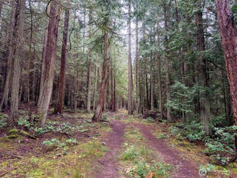 9999 Protection Ridge Road Port Townsend WA 98368