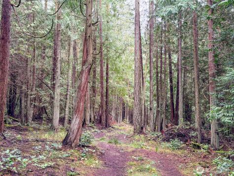 9999 Protection Ridge Road Port Townsend WA 98368