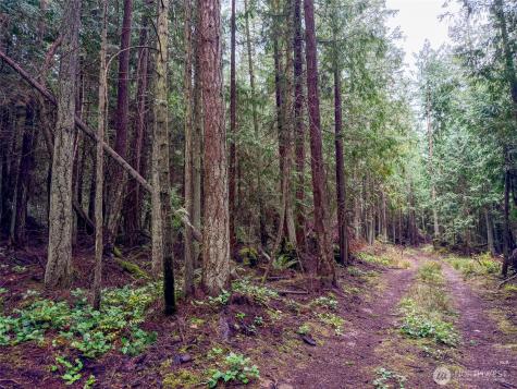 9999 Protection Ridge Road Port Townsend WA 98368