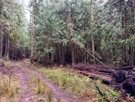 9999 Protection Ridge Road Port Townsend WA 98368