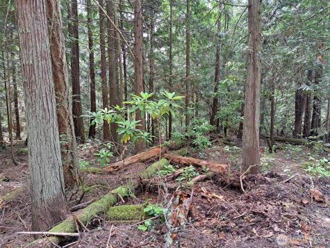 9999 Protection Ridge Road Port Townsend WA 98368