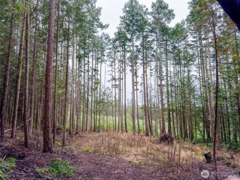 9999 Protection Ridge Road Port Townsend WA 98368
