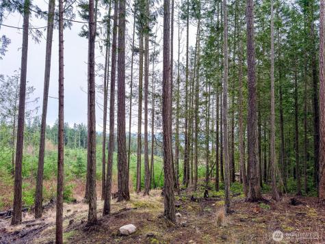 9999 Protection Ridge Road Port Townsend WA 98368