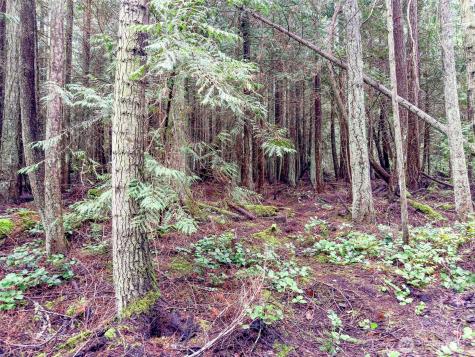 9999 Protection Ridge Road Port Townsend WA 98368