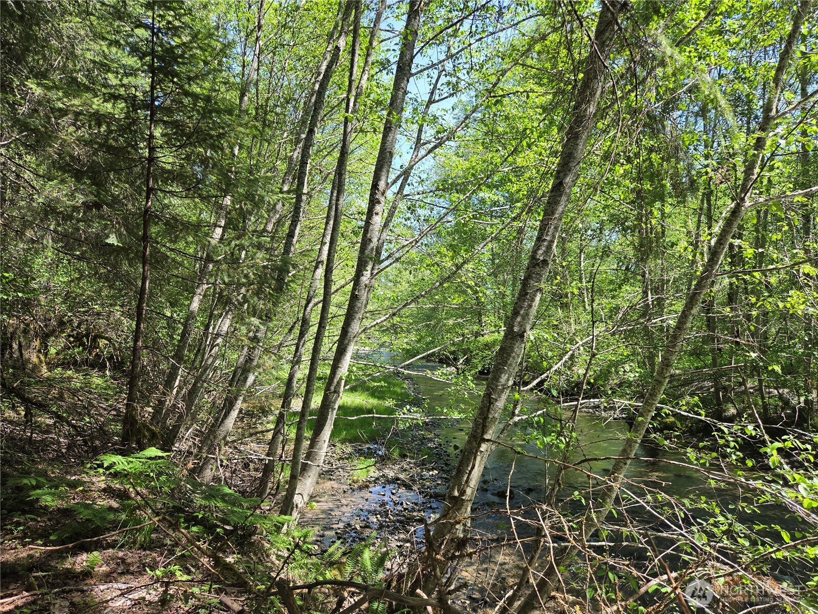 123 Campfire Lane Packwood WA 98361