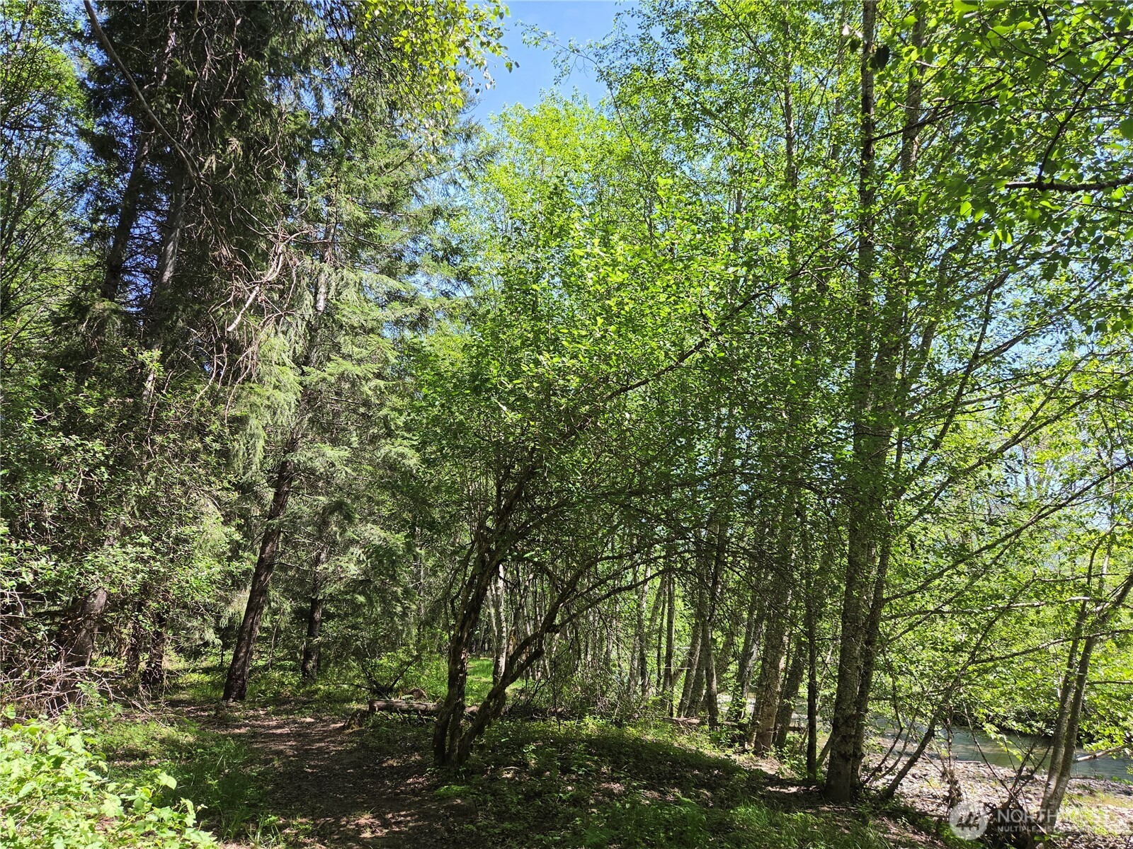 123 Campfire Lane Packwood WA 98361