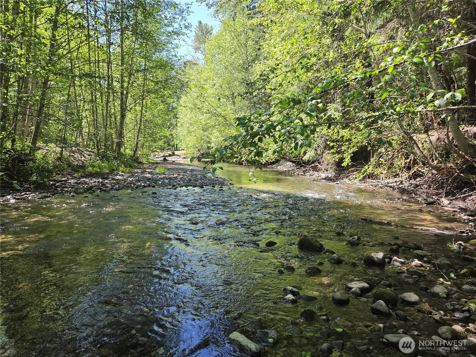 123 Campfire Lane Packwood WA 98361